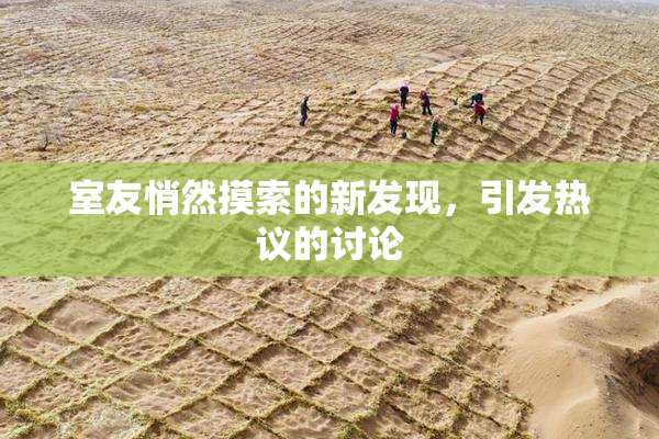 室友悄然摸索的新发现，引发热议的讨论