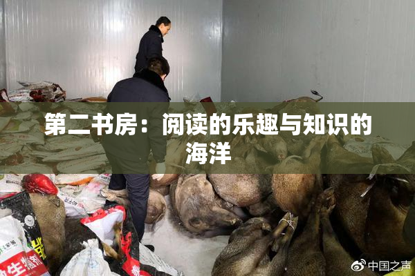 第二书房：阅读的乐趣与知识的海洋