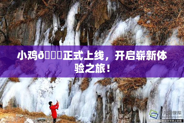 小鸡🐔正式上线，开启崭新体验之旅！