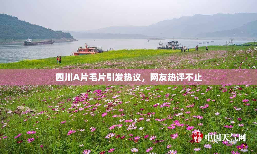 四川A片毛片引发热议，网友热评不止