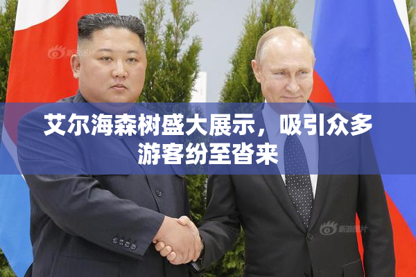 艾尔海森树盛大展示，吸引众多游客纷至沓来