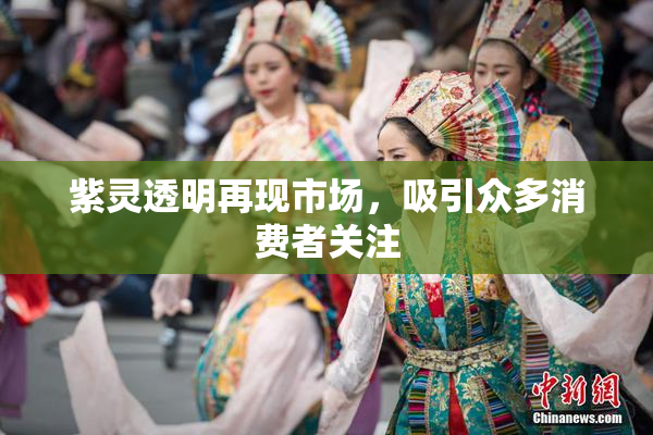紫灵透明再现市场，吸引众多消费者关注