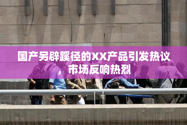 国产另辟蹊径的XX产品引发热议，市场反响热烈