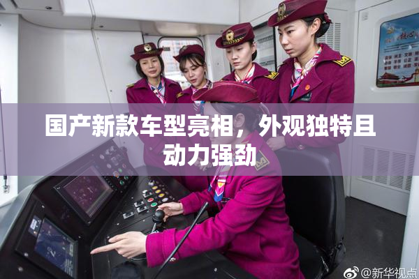 国产新款车型亮相，外观独特且动力强劲