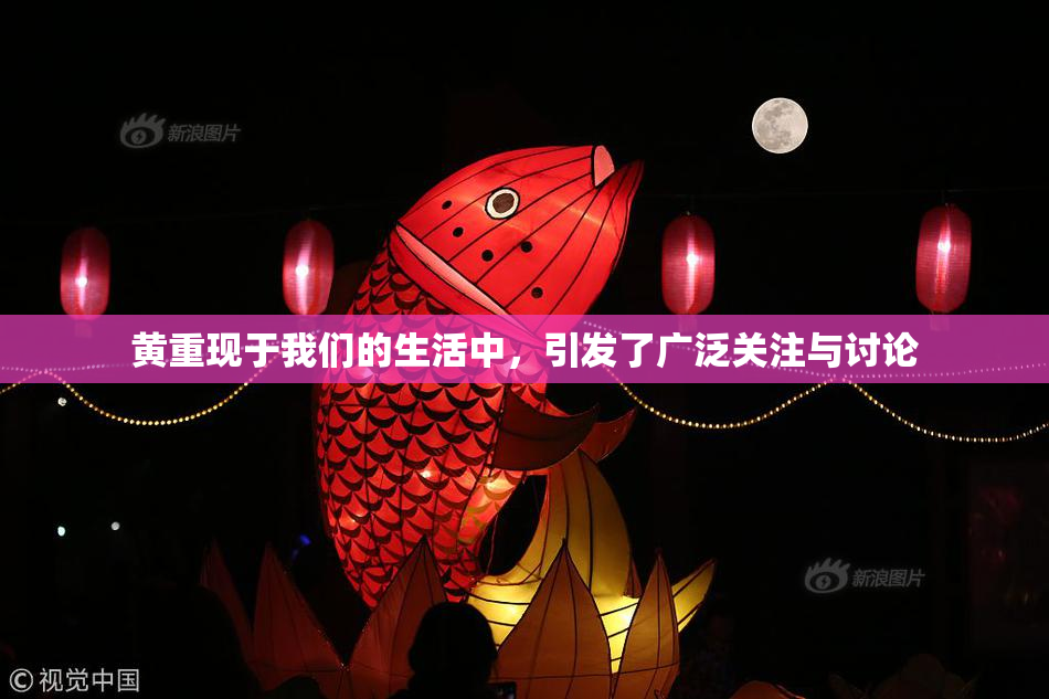 黄重现于我们的生活中，引发了广泛关注与讨论