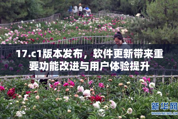 17.c1版本发布，软件更新带来重要功能改进与用户体验提升