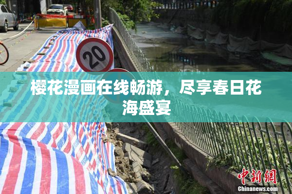 樱花漫画在线畅游，尽享春日花海盛宴