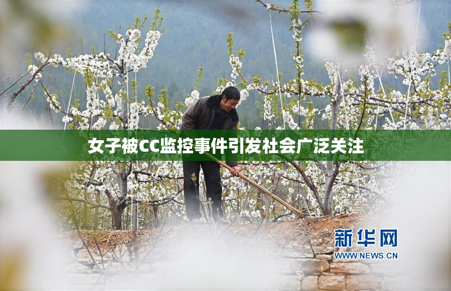 女子被CC监控事件引发社会广泛关注