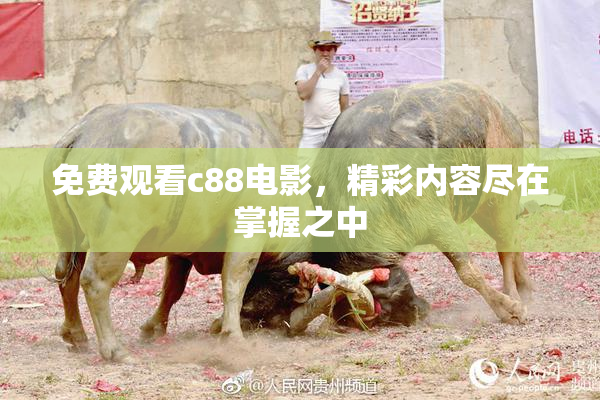 免费观看c88电影，精彩内容尽在掌握之中