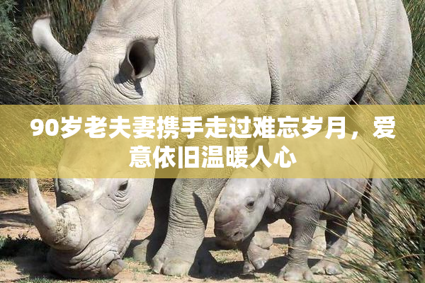 90岁老夫妻携手走过难忘岁月，爱意依旧温暖人心