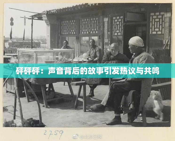 砰砰砰：声音背后的故事引发热议与共鸣