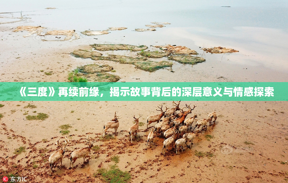 《三度》再续前缘，揭示故事背后的深层意义与情感探索