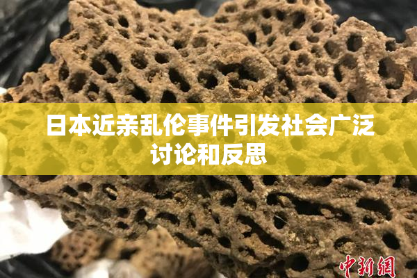 日本近亲乱伦事件引发社会广泛讨论和反思