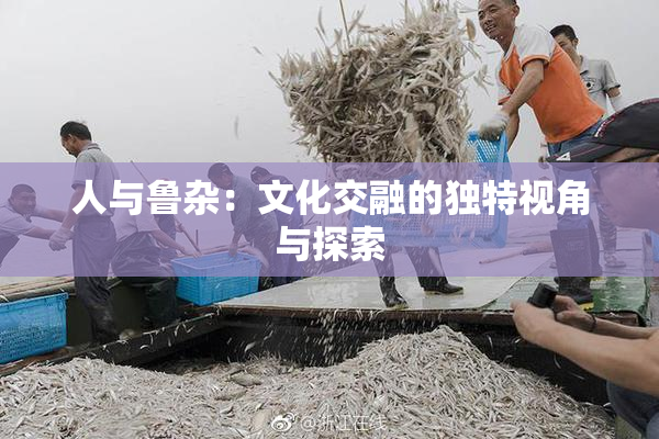 人与鲁杂：文化交融的独特视角与探索