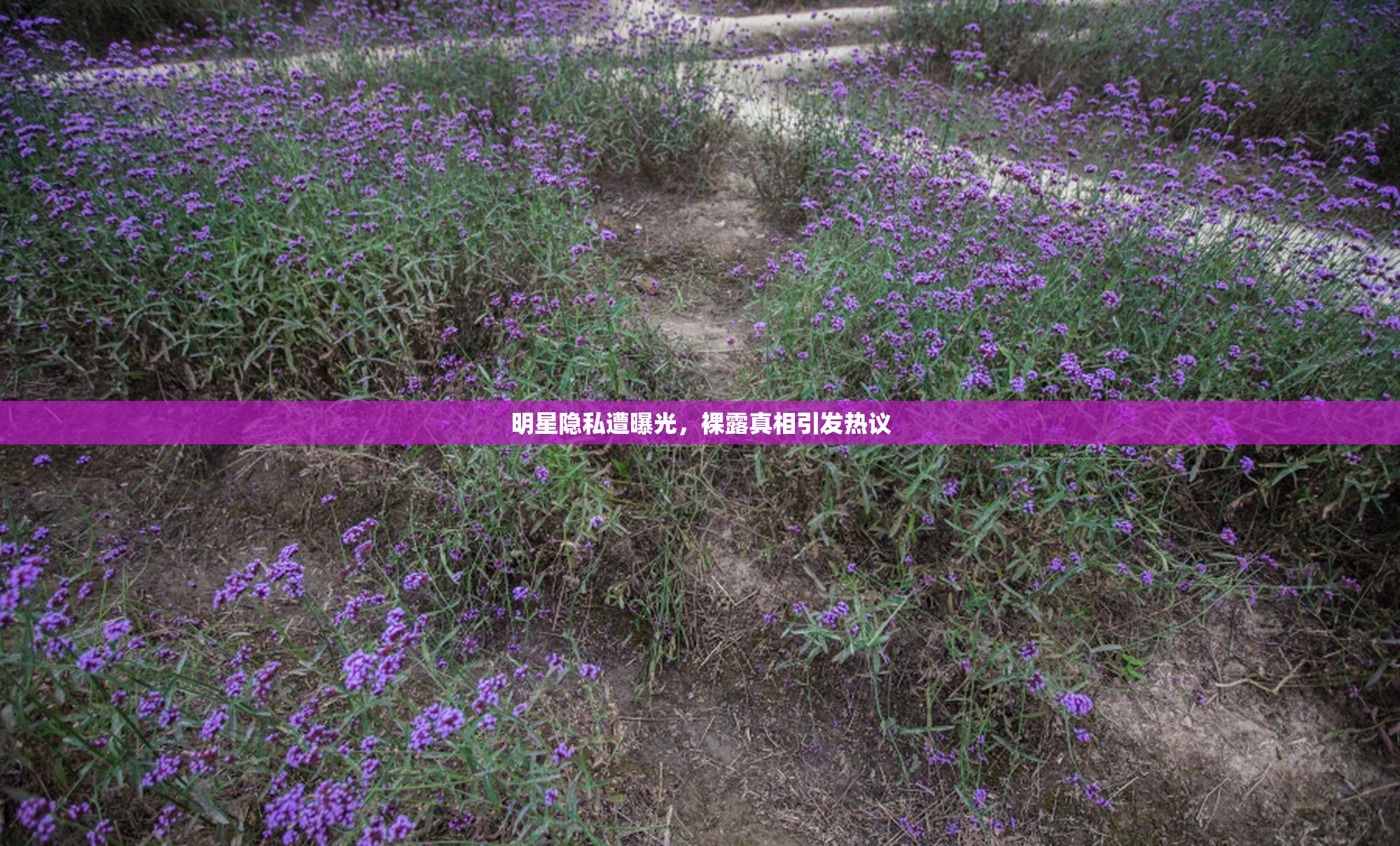 明星隐私遭曝光，裸露真相引发热议