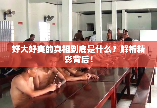 好大好爽的真相到底是什么？解析精彩背后！