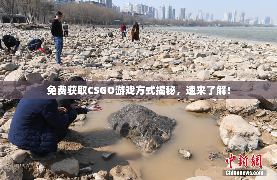 免费获取CSGO游戏方式揭秘，速来了解！