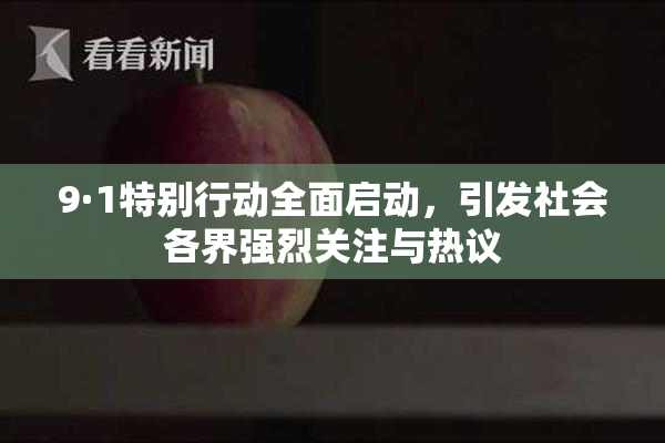 9·1特别行动全面启动，引发社会各界强烈关注与热议