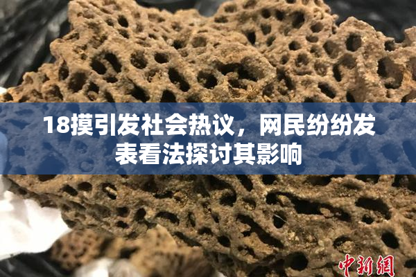18摸引发社会热议，网民纷纷发表看法探讨其影响