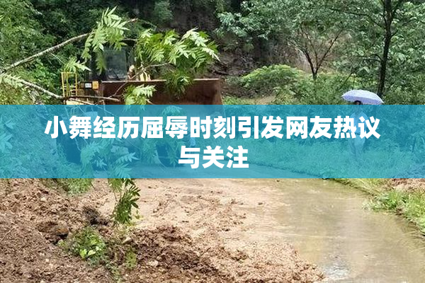 小舞经历屈辱时刻引发网友热议与关注