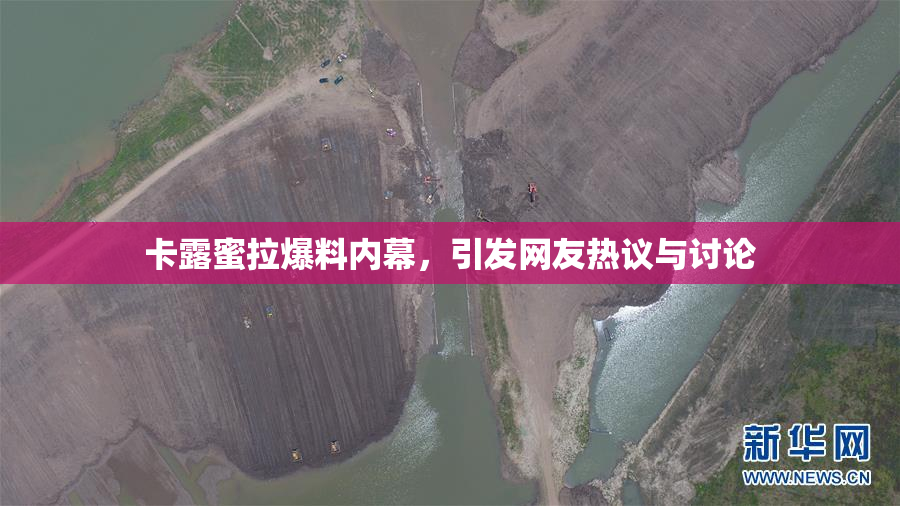卡露蜜拉爆料内幕，引发网友热议与讨论