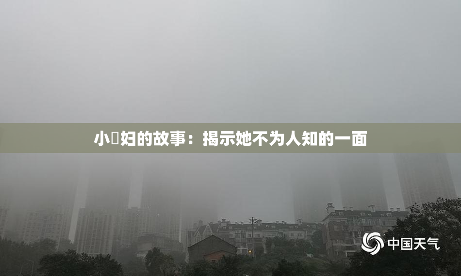 小婬妇的故事：揭示她不为人知的一面