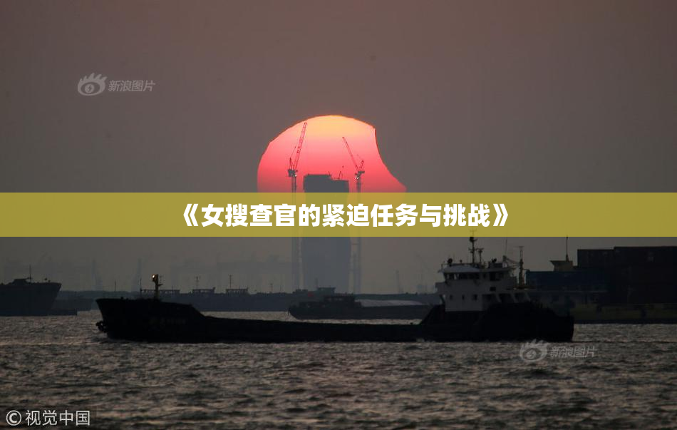 《女搜查官的紧迫任务与挑战》