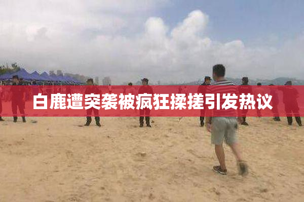 白鹿遭突袭被疯狂揉搓引发热议