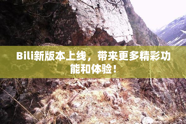 Bili新版本上线，带来更多精彩功能和体验！