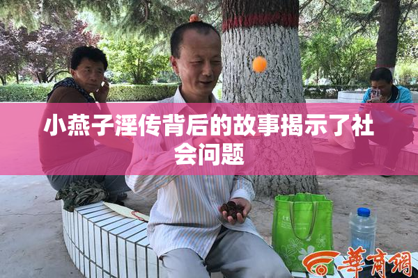 小燕子淫传背后的故事揭示了社会问题