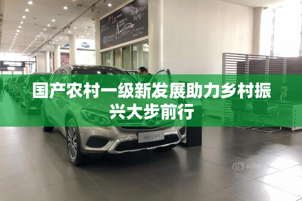 国产农村一级新发展助力乡村振兴大步前行