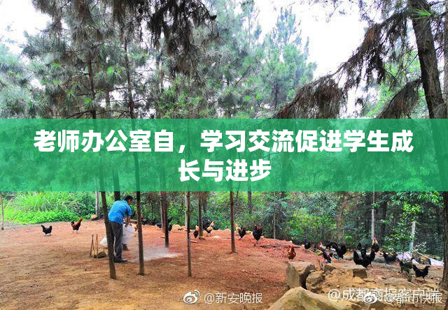 老师办公室自，学习交流促进学生成长与进步