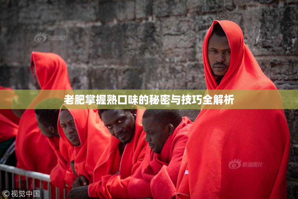 老肥掌握熟口味的秘密与技巧全解析