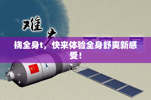 挠全身t，快来体验全身舒爽新感受！