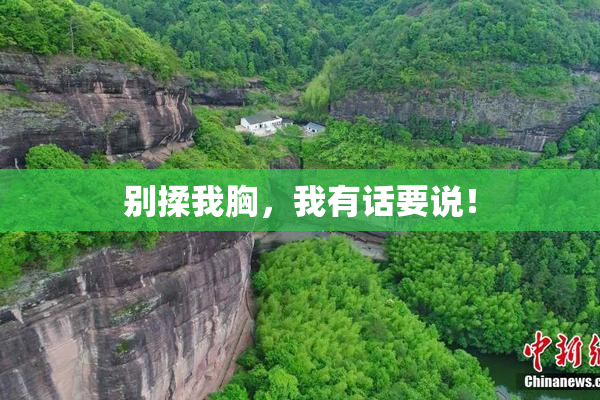 别揉我胸，我有话要说！