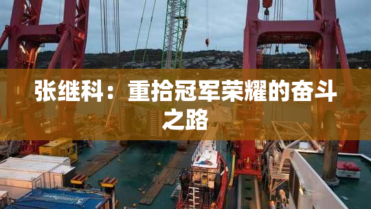 张继科：重拾冠军荣耀的奋斗之路