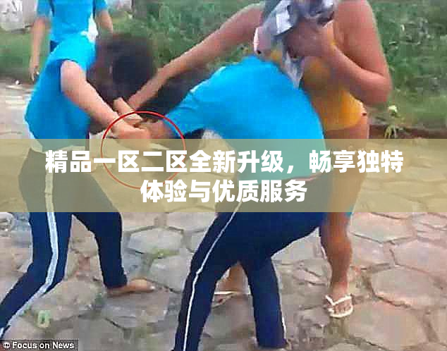 精品一区二区全新升级，畅享独特体验与优质服务