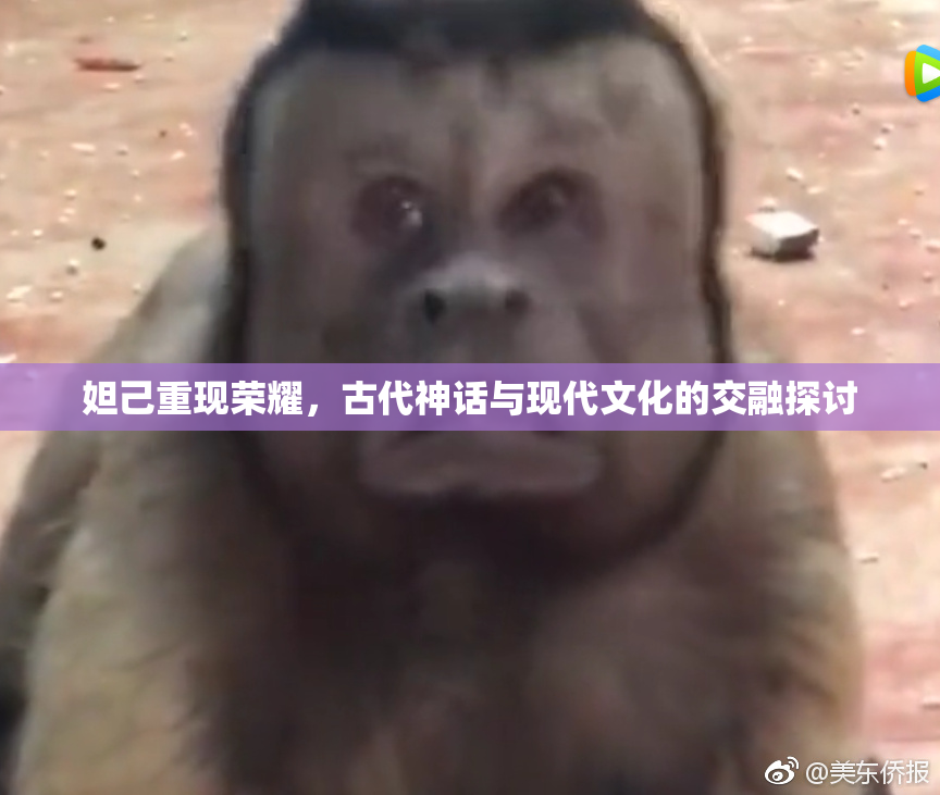 妲己重现荣耀，古代神话与现代文化的交融探讨