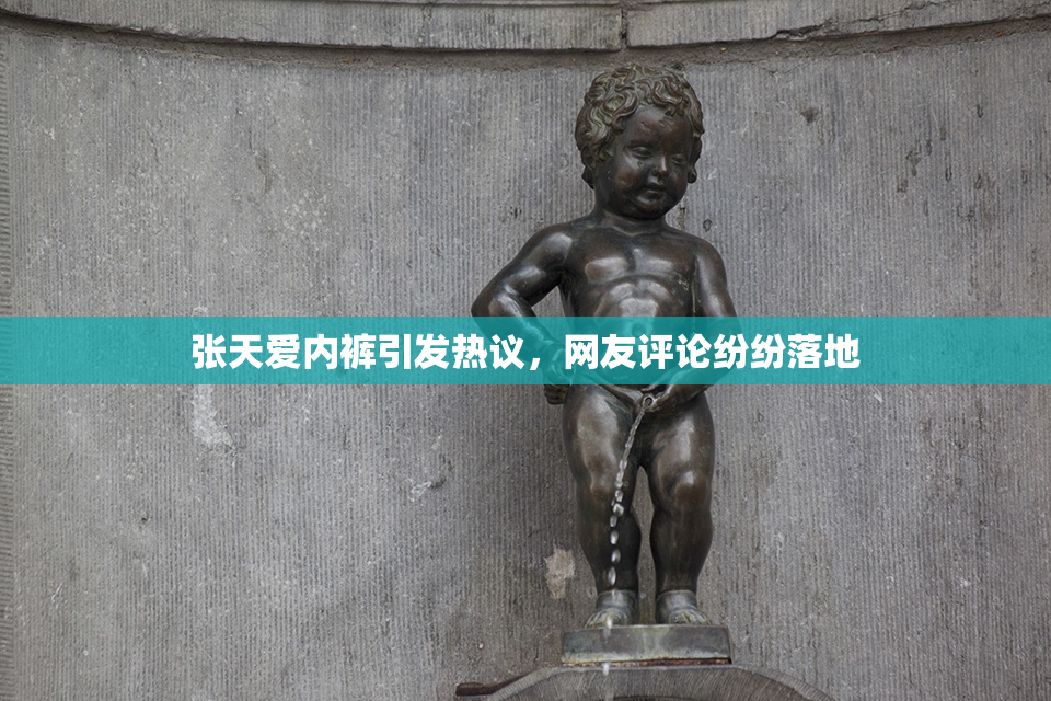 张天爱内裤引发热议，网友评论纷纷落地