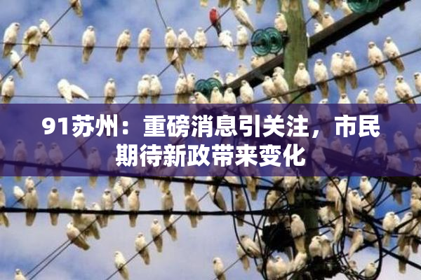 91苏州：重磅消息引关注，市民期待新政带来变化