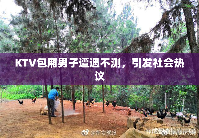 KTV包厢男子遭遇不测，引发社会热议