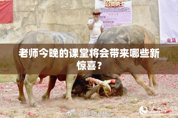 老师今晚的课堂将会带来哪些新惊喜？