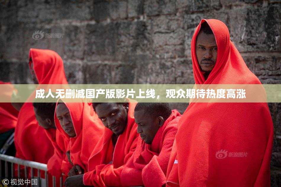 成人无删减国产版影片上线，观众期待热度高涨