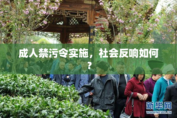 成人禁污令实施，社会反响如何？