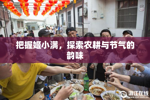 把握姬小满，探索农耕与节气的韵味