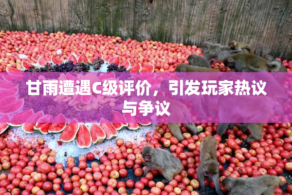 甘雨遭遇C级评价，引发玩家热议与争议