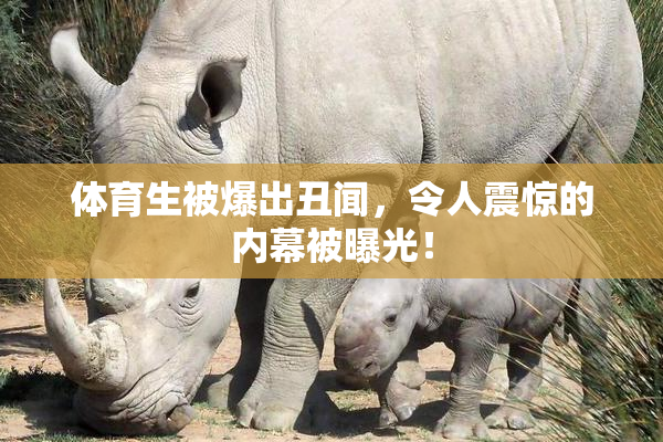 体育生被爆出丑闻，令人震惊的内幕被曝光！