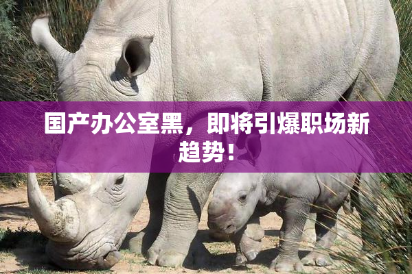 国产办公室黑，即将引爆职场新趋势！