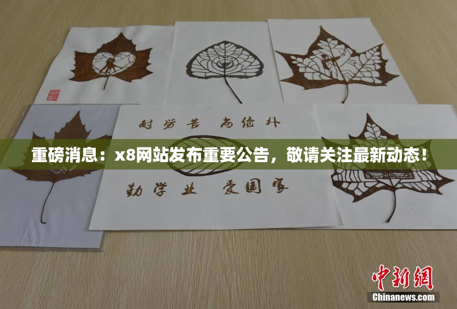 重磅消息：x8网站发布重要公告，敬请关注最新动态！