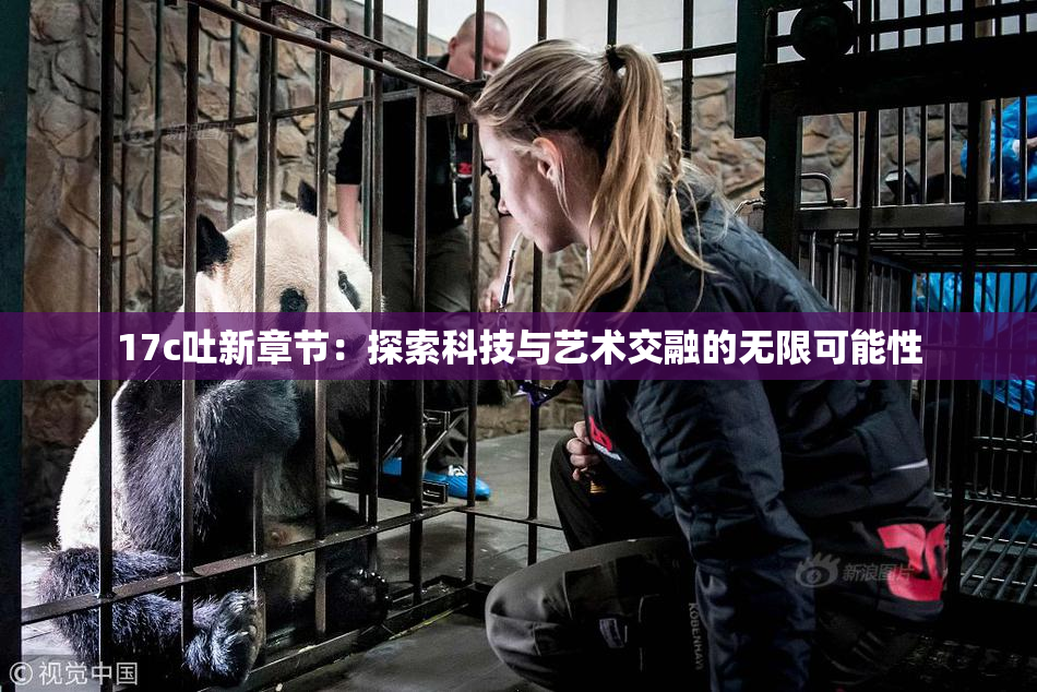 17c吐新章节：探索科技与艺术交融的无限可能性